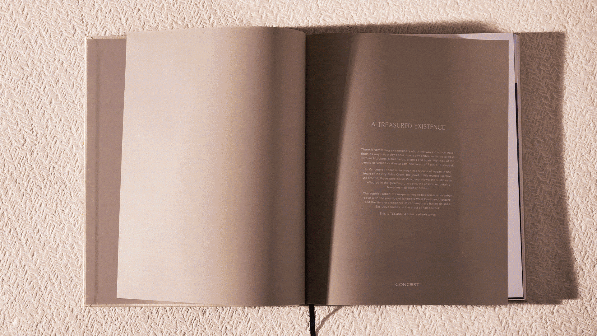 Tesoro book interior.